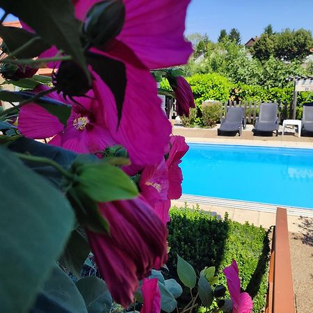 Haus Marika Ξενοδοχείο Σίοφοκ Εξωτερικό φωτογραφία
