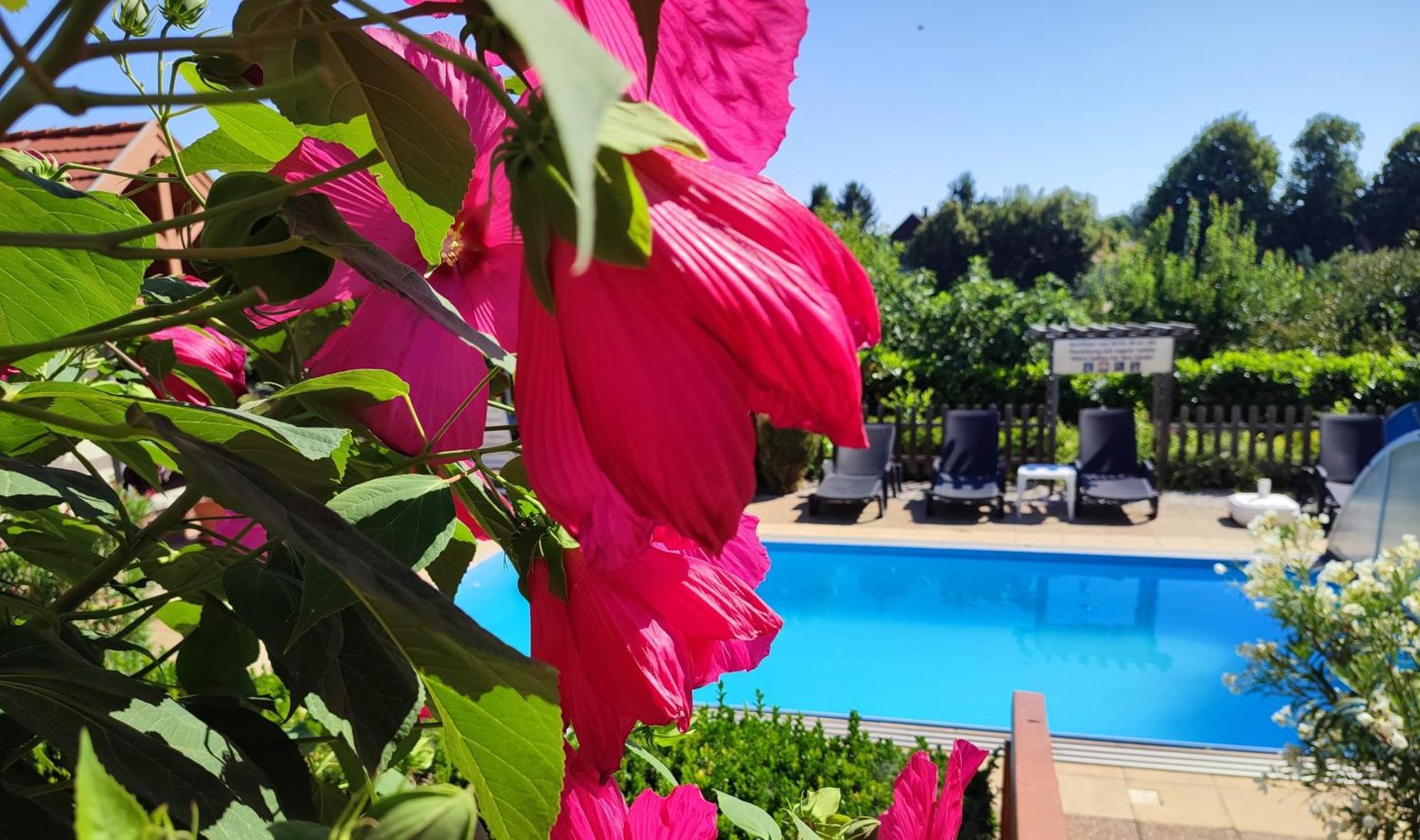 Haus Marika Ξενοδοχείο Σίοφοκ Εξωτερικό φωτογραφία
