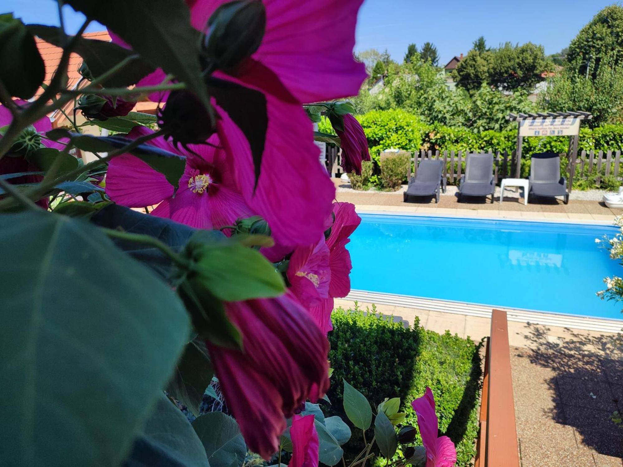 Haus Marika Ξενοδοχείο Σίοφοκ Εξωτερικό φωτογραφία